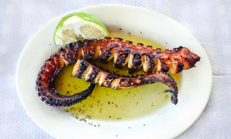 Octopus on plate at a greek tavern.