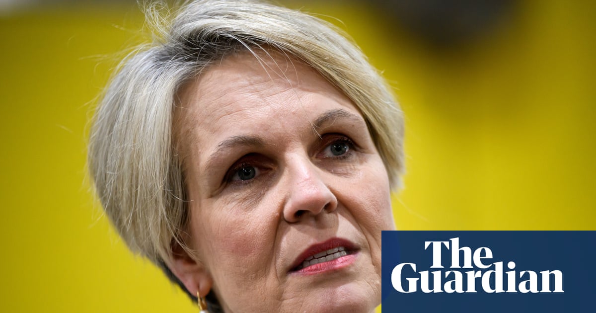 Australia could make social media algorithms optional and follow UK ban on pornography depicting strangulation