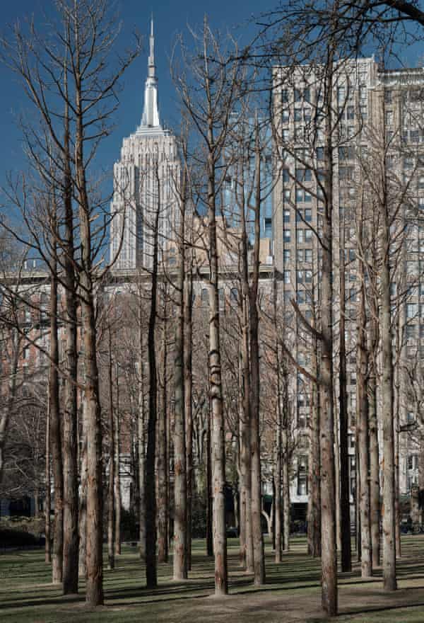 Maya Lin - Ghost Forest