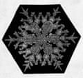 Closeup of a Snowflake, 1902, by Wilson Bentley.