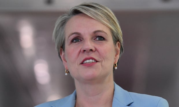 Environment minister Tanya Plibersek told the UN ocean conference in Lisbon there was no prospect of safeguarding the environment and oceans without focused action on climate change.