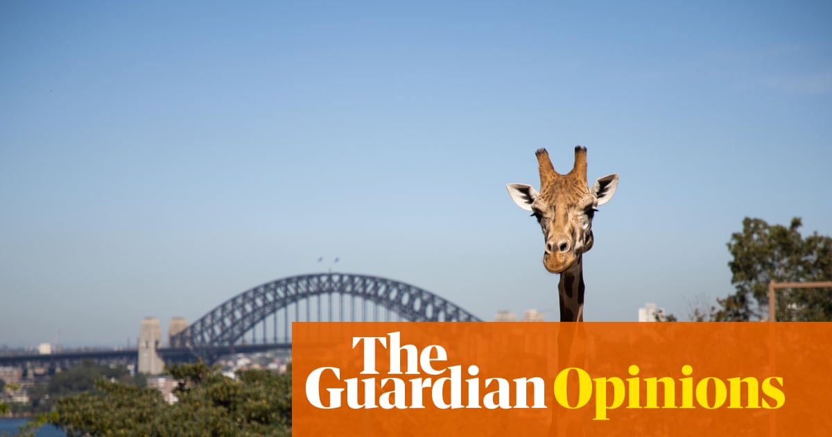 Why would I waste my precious holiday time going to a zoo in another country? | James Colley