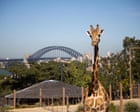 Why would I waste my precious holiday time going to a zoo in another country? | James Colley