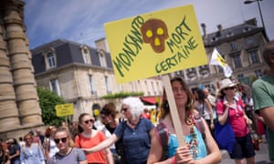 A march against the powerful agrochemical company Monsanto in Bordeaux, France, on 19 May.