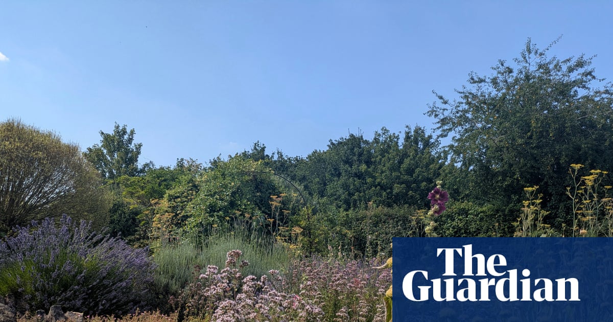 Country diary: In poet John Clare’s garden, I contemplate my ancestor who lived here too | Nic Wilson