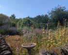 Poet John Clare's Garden Inspires Ancestral Reflection