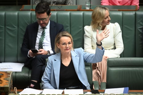 Sussan Ley during question time on Thursday