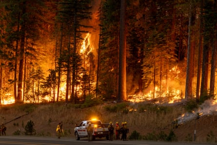 firefighters stand on a road as a fire blazes in a forest
