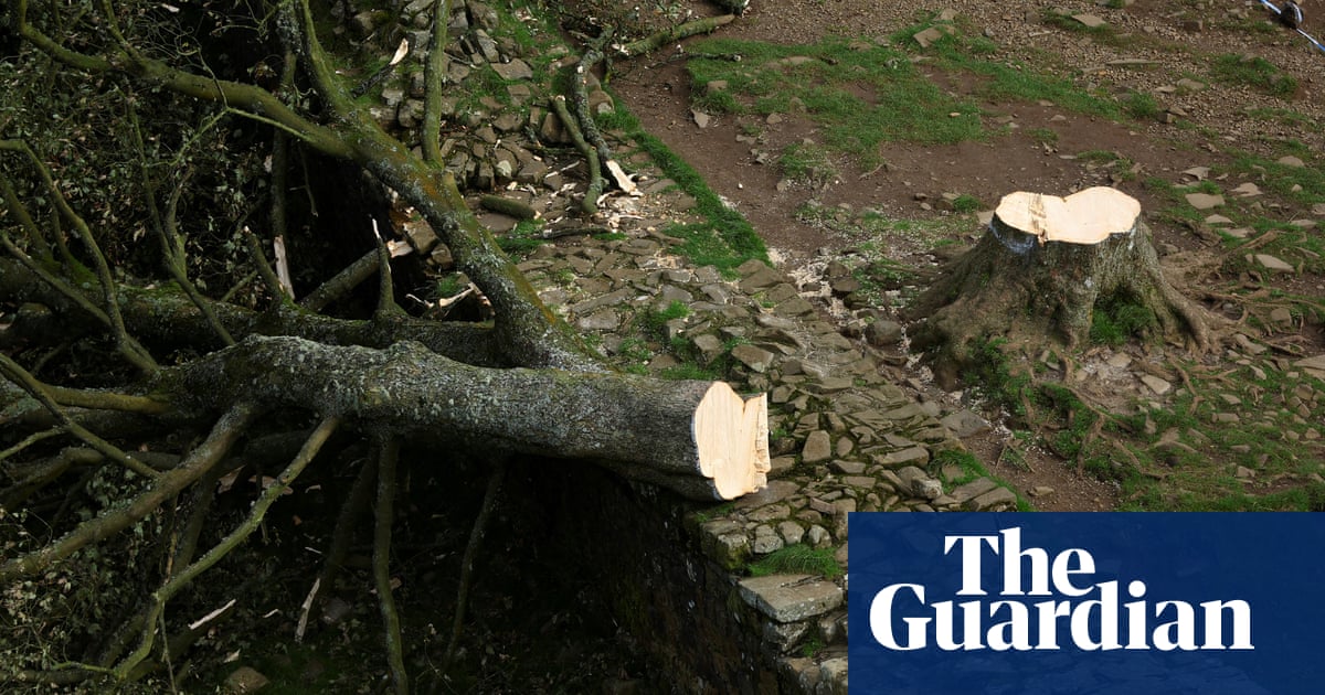 Two men felled Sycamore Gap tree in mindless' criminal act, court told