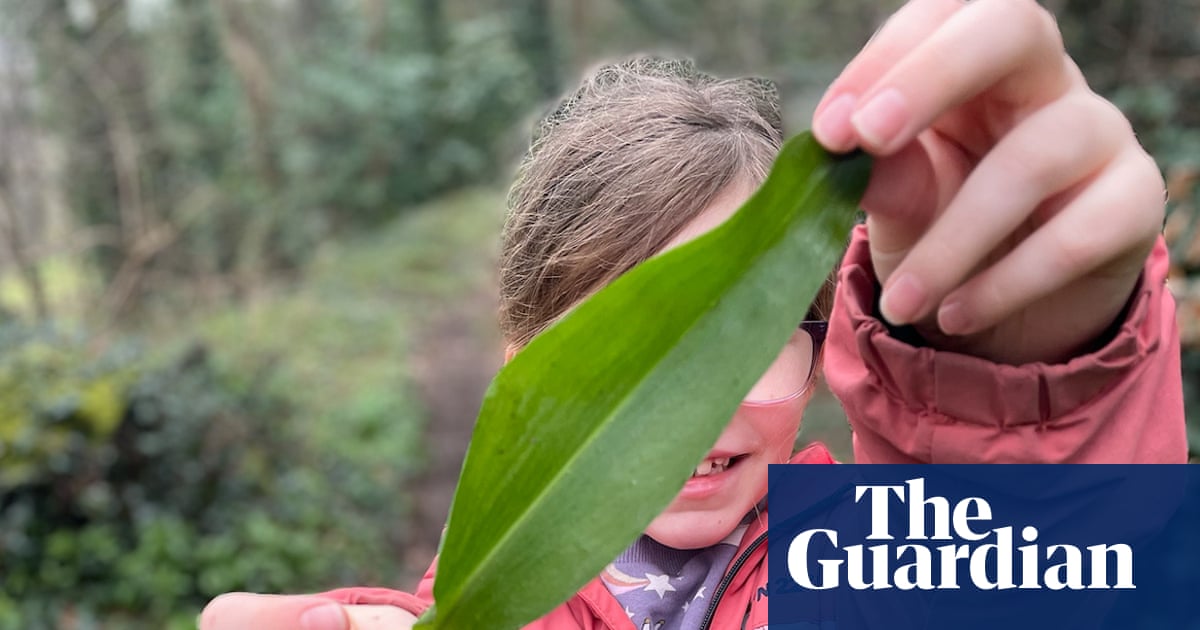 Nature boys and girls – here’s your chance to get published in the Guardian