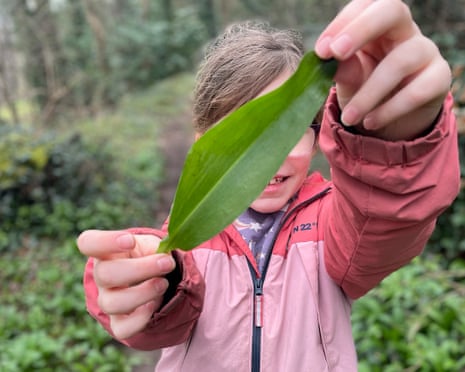 Children exploring nature