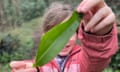 Young Country Diarist Alice collecting wild garlic in the Wye Valley.