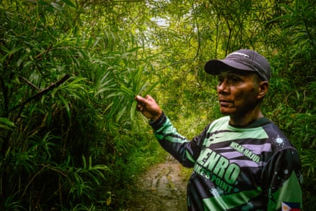 A man in a baseball cap holds a leaf on a tree in a very leafy setting