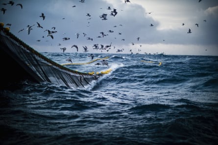 A trawler net in rough seas with seagulls flying overhead