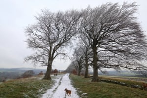 wilf on the ridge in the snow at, Yorkshire Sculpture Park