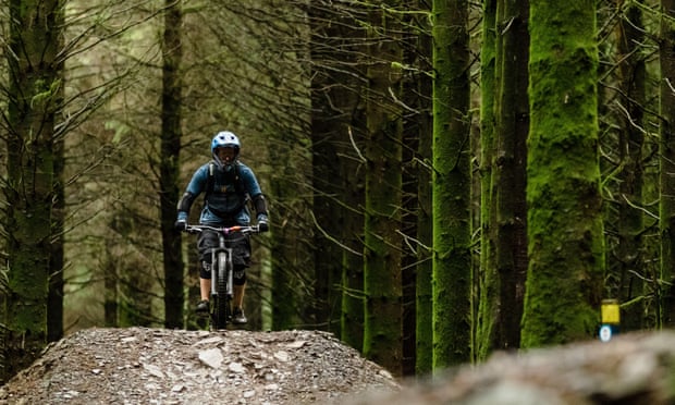 Much of the site is thickly forested.