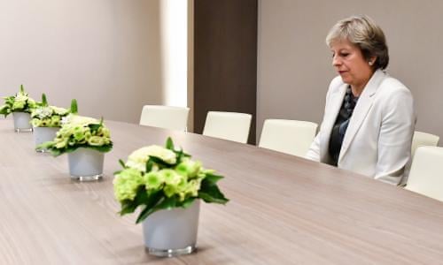 Image result for theresa may pot plants