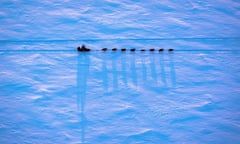 Alaska Dispatch News<br>An Iditarod musher makes their way from Galena, Alaska to the new checkpoint of Huslia during the Iditarod Trail Sled Dog Race on Thursday, March 12, 2015. A lack of snow in southcentral Alaska forced race organizers to move the race north. (AP Photo/Alaska Dispatch News, Loren Holmes) iditarod12th 2015 Iditarod;Iditarod;Iditarod 2015;huslia