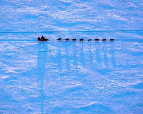 Alaska Dispatch News<br>An Iditarod musher makes their way from Galena, Alaska to the new checkpoint of Huslia during the Iditarod Trail Sled Dog Race on Thursday, March 12, 2015. A lack of snow in southcentral Alaska forced race organizers to move the race north. (AP Photo/Alaska Dispatch News, Loren Holmes) iditarod12th 2015 Iditarod;Iditarod;Iditarod 2015;huslia