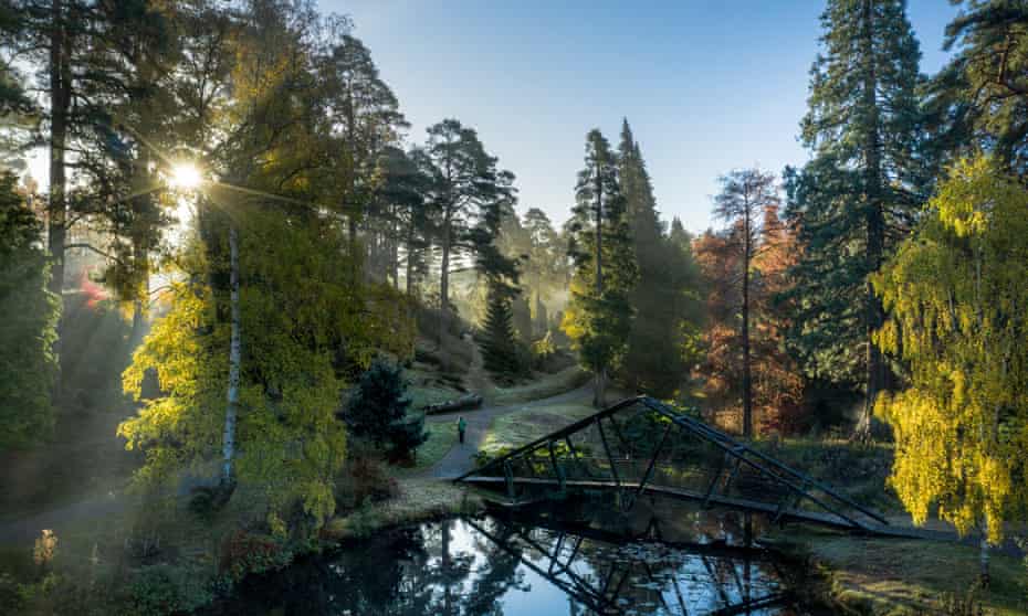 Bedgebury Pinetum and Forest in November