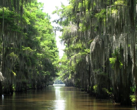 Caddo Lake in Texas.