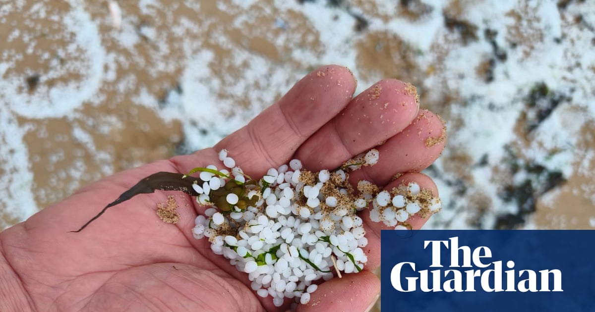 Country diary: We’re going on a nurdle hunt | Richard Smyth