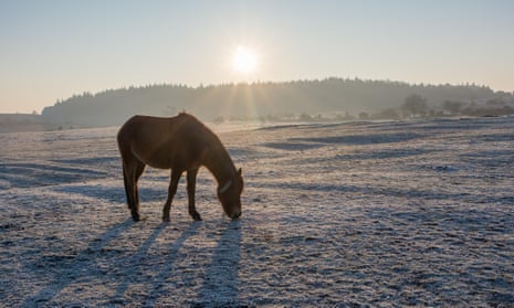 A horse grazes in the New Forest, Hampshire, where temperatures dropped below freezing overnight.