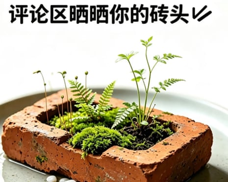 Chinese characters above a brick growing plants.