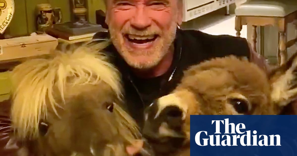 Arnold Schwarzenegger and his tiny horses urge people to stay home
