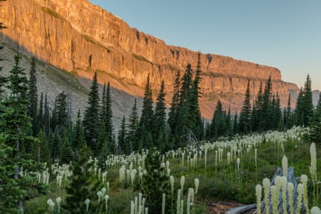 Sunrise on the Chinese Wall in the Bob Marshall Wilderness, Montana
