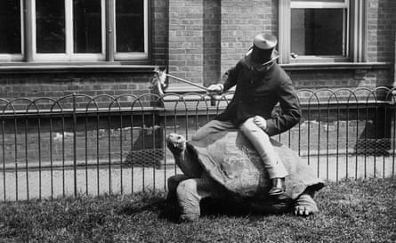 Wild ride … the eccentric zoologist Lord Lionel Walter Rothschild (1868-1937).