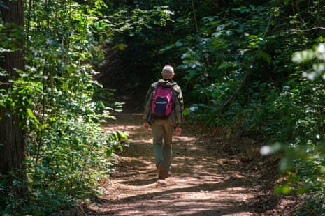 A man walking in the woods wearing a backpack