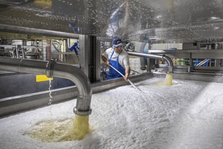 An worker sifts a vat of curds and whey successful a factory