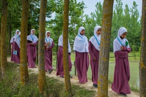 Alunos visitam um pomar nos arredores de Srinagar, na Índia, no Dia Mundial do Meio Ambiente