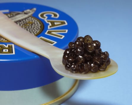 caviar