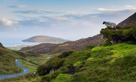 A sheep looking down towards the road at Mamore Gap, Clonmany
