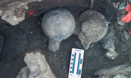 A view of two mastodon femur balls, one faced up and once faced down.