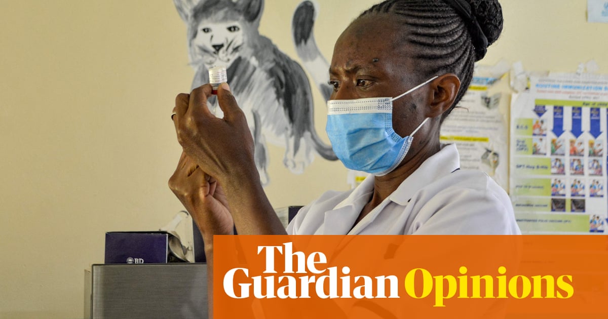 The world finally has a malaria vaccine. Now it must invest in it | Ngozi Okonjo-Iweala | The Guardian