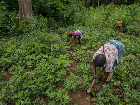 Tralou Trana Jeanette working on her land.