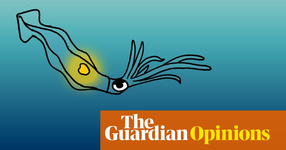 More new species? We can’t look after the ones we have!  | First Dog on the Moon | The Guardian