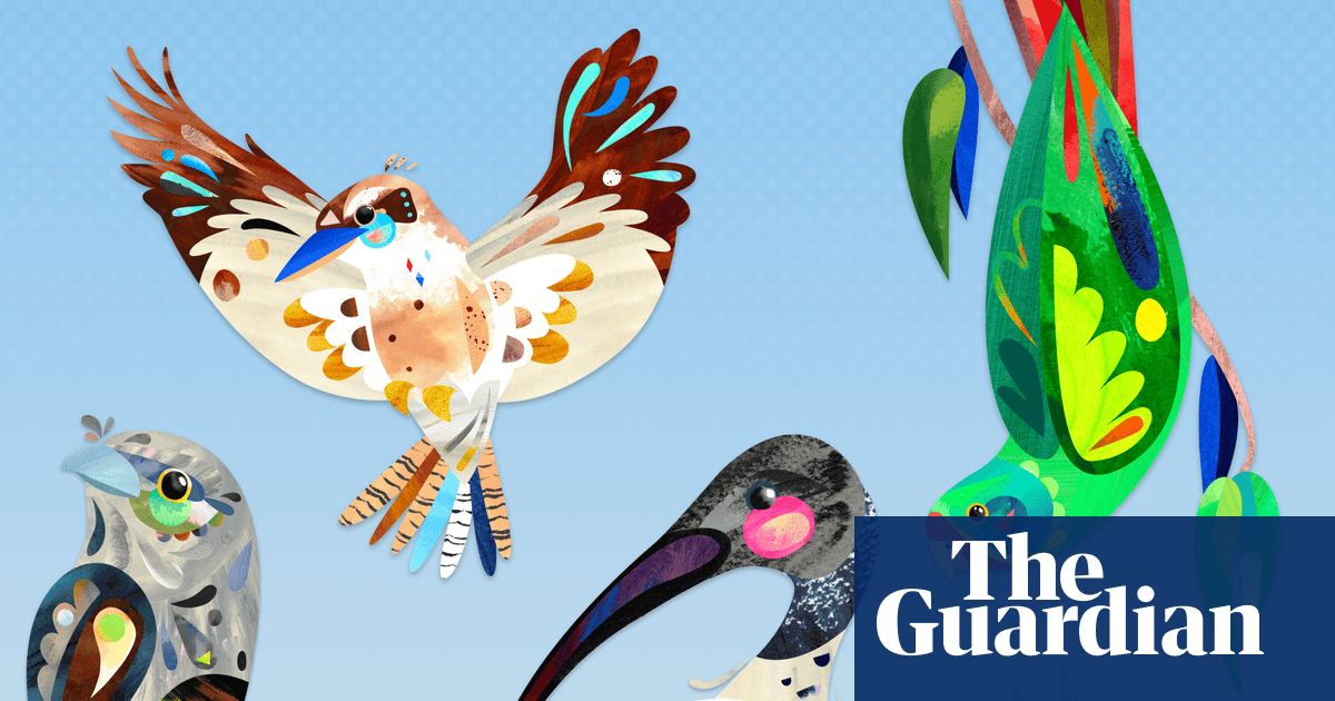 Australian bird of the year 2025: nominate your favourite now