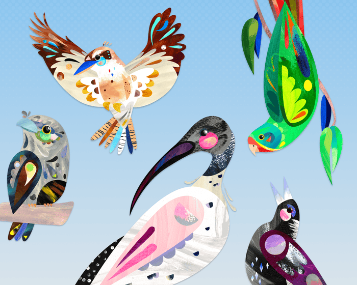 Australian bird of the year: an avian popularity contest with a deeper purpose
