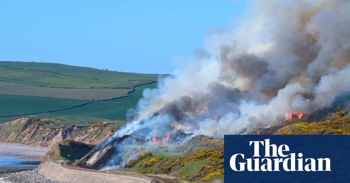 Ten English fire services tackled record number of grass, forest and crop fires in 2025