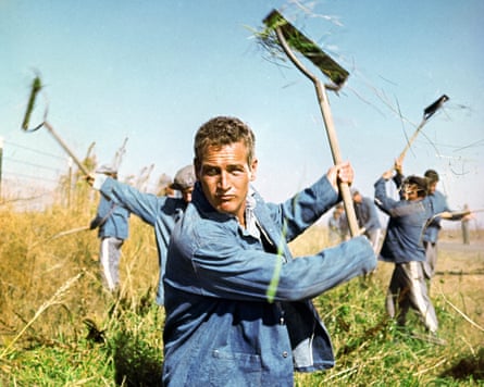 Paul Newman in Cool Hand Luke.