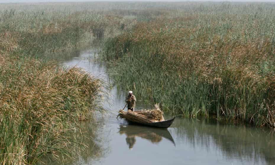 A marsh Arab man paddles a boat loaded with reeds at the Chebayesh marsh in Nassiriya, Iraq.