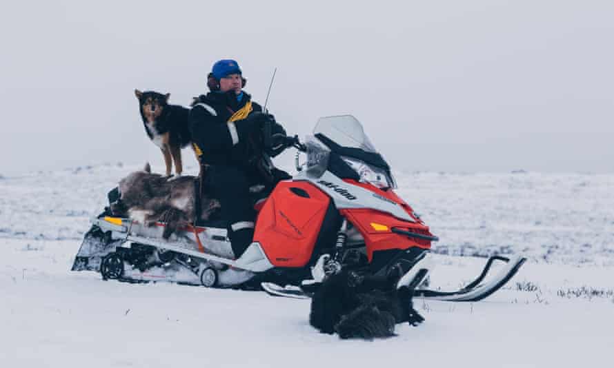 A Sami reindeer herder in Finnmark, Norway