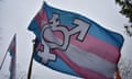 Trans flags with transgender symbol flying at a protest