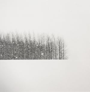 Trees in Winter Field, Oregon, 2014see gallery https://www.theguardian.com/artanddesign/gallery/2022/apr/26/mindful-nature-jeffrey-conleys-restorative-images-in-picturesJeffrey Conley’s stunning landscape photographs. Capturing vistas from the Pacific Northwest to Iceland and locations across the world, Conley is a master of both the lens and darkroom. Conley’s work will be promoted alongside his two new books, “West” and “The Shadow’s Veil”, two great titles encapsulating his skill in capturing landscapes and ethereal moments. Never before seen photographs, and photographs featured in both recent titles will be featured in the gallery’s presentation. Notably, Jeffrey Conley himself will be attending the fair as guest of Peter Fetterman Gallery, offering enthusiasts a chance to engage directly with the artist behind the lens.