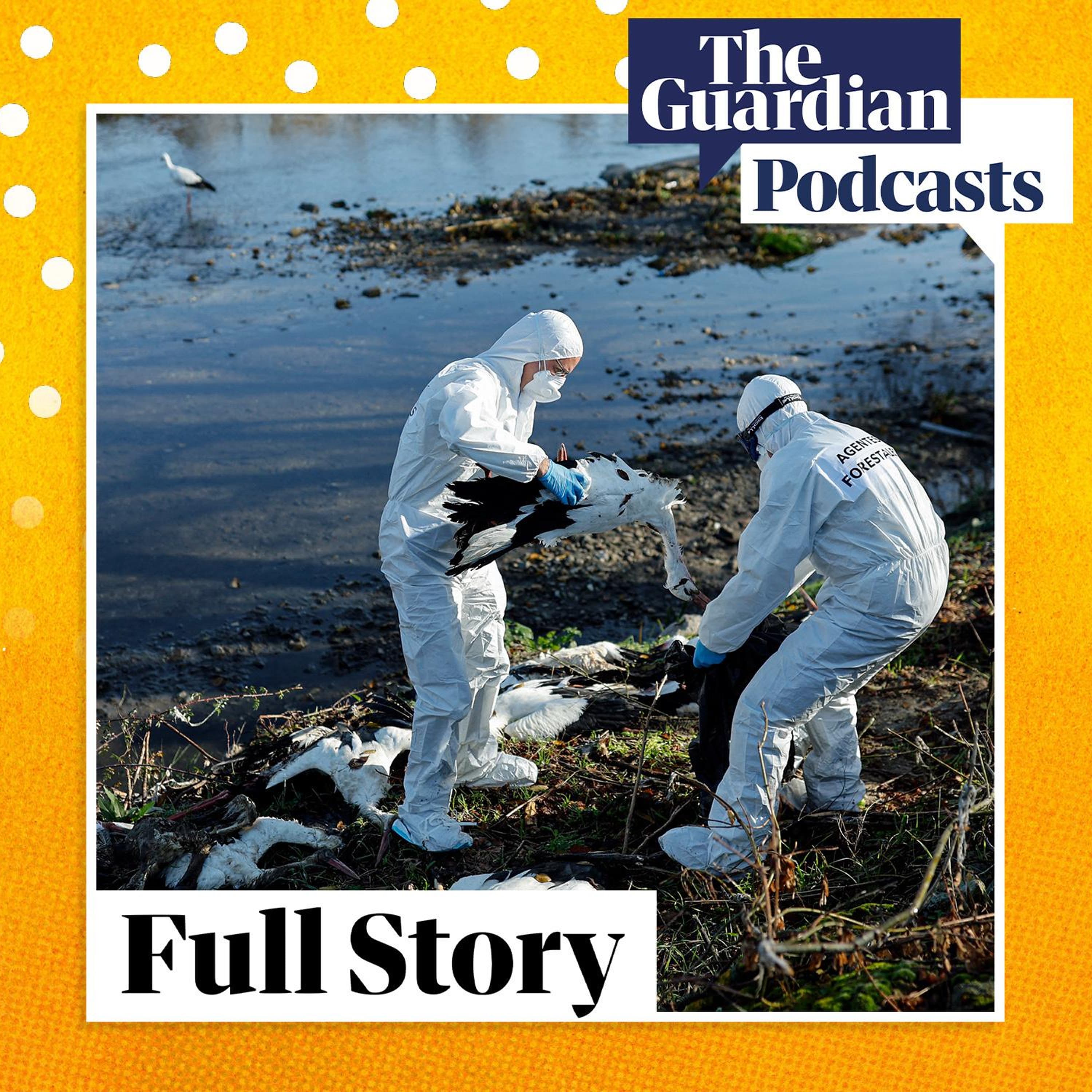 How worried should we be about bird flu? episode artwork