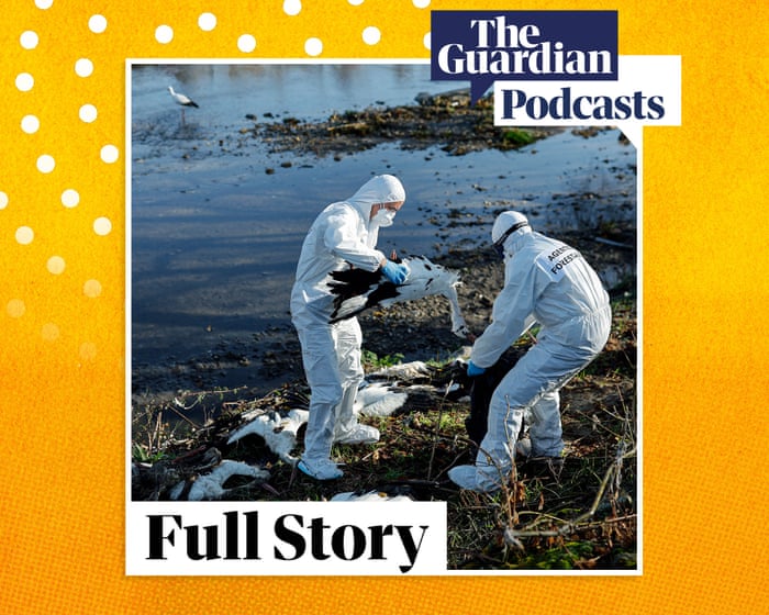 How worried should we be about bird flu? – podcast